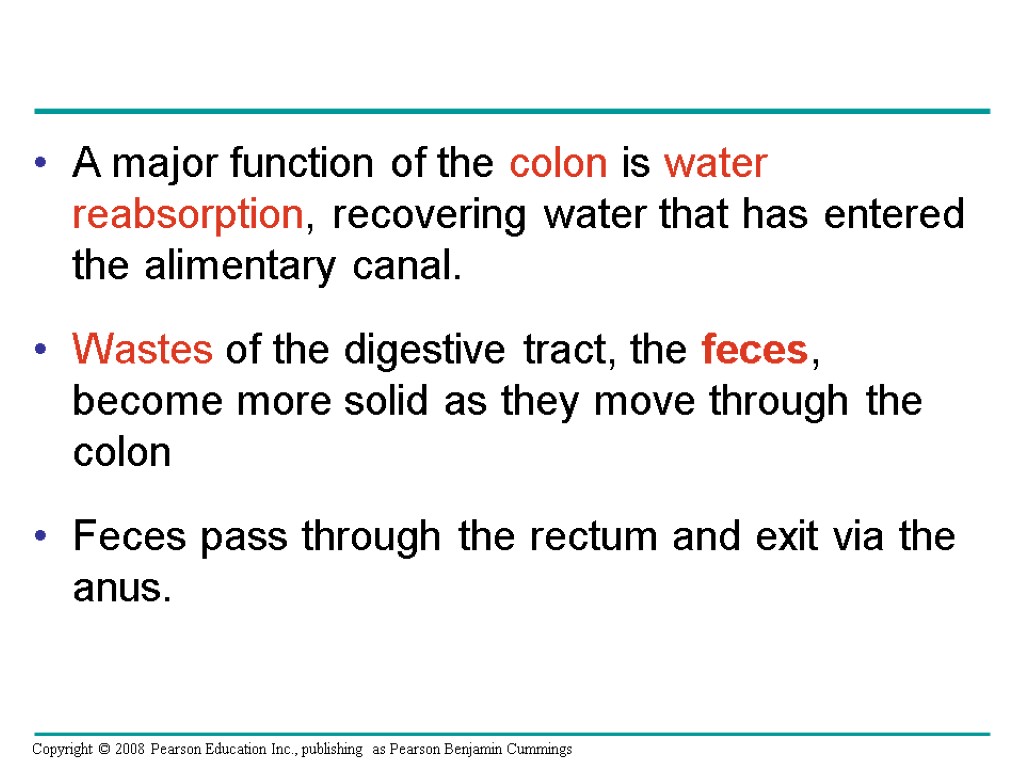 A major function of the colon is water reabsorption, recovering water that has entered